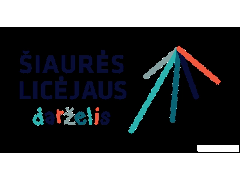 Mažos grupės – dideli vaikų pasiekimai Vilniuje!