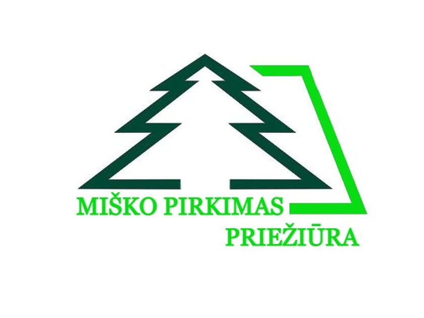 Perki mišką Lietuvoje? Atsiskaityk iš karto grynais!