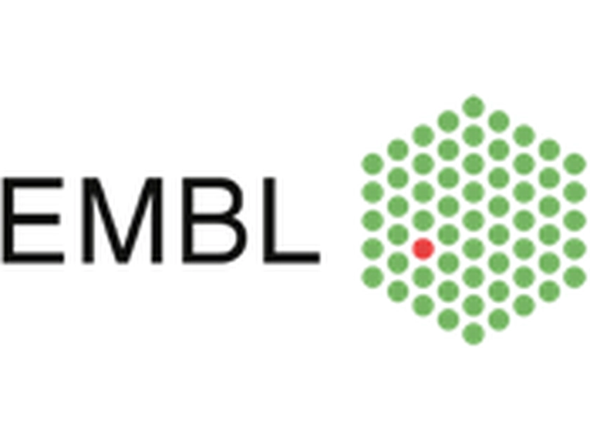 Transform Your IT Career at EMBL – Senior Systems Engineer Wanted!