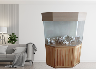 Peržiūrėti skelbimą - Didelis akvariumas akrilinis 400L JAV new