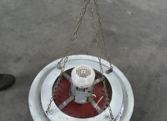 Galingas 0,55 kW variklis, 3000 r/min