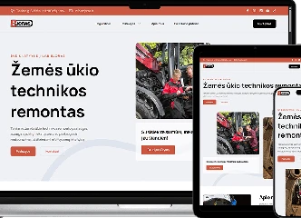 Internetinė svetainė jums – greitai ir kokybiškai!