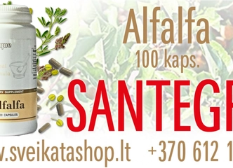 Išskirtinės kainos SANTEGRA vitaminams ir papildams