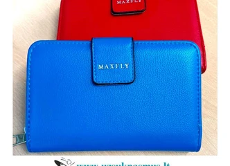 Atraskite tobulas pinigines internetu