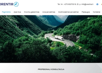 Profesionalus svetainių kūrimas ir dizainas!
