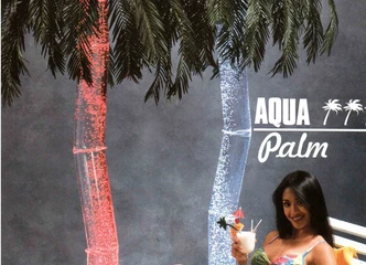 Peržiūrėti skelbimą - Vandens burbulų palmė valdomų spalvų, JAV
