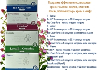 Vitaminų gausa už prieinamą kainą – SANTEGRA!